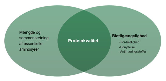 Proteinkvalitet